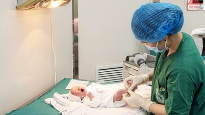 تحسين جودة السكان - الأساس للتنمية المستدامة