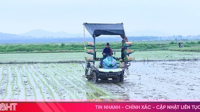 ចុងរដូវ ផលិតកម្មរដូវក្តៅ-រដូវស្លឹកឈើជ្រុះ មានហានិភ័យដែលអាចកើតមាន