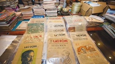 Bộ sưu tập báo chí yêu nước và cách mạng của nhà sưu tầm báo giấy nhiều nhất Việt Nam
