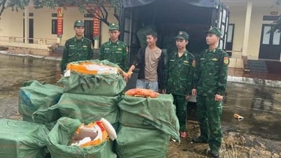 クアンニン省で出所不明の未熟鶏卵1.1トン以上が押収される