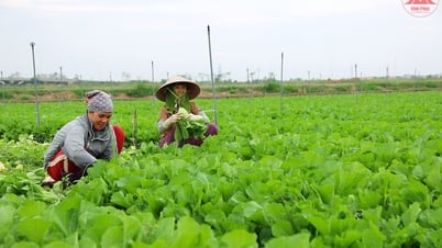 លើកកំពស់ប្រសិទ្ធភាពនៃសកម្មភាពផ្សព្វផ្សាយកសិកម្ម