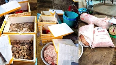 L'établissement qui a déversé et vendu 3,5 tonnes de graisse et d'intestins sales a été condamné à une amende de 126 millions de VND.