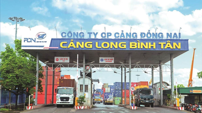 Dong Nai Port (PDN) pays 25% cash dividend