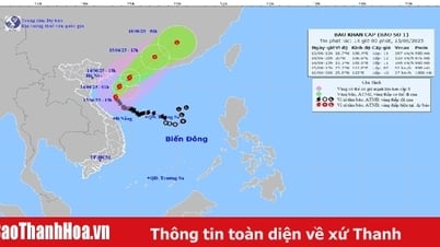 Bão số 1 xuất hiện vào tháng 6: Hơn 40 năm mới có một lần