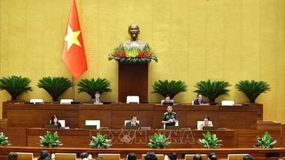 កាលពីថ្ងៃទី១៧ ខែមិថុនា រដ្ឋសភាបានពិភាក្សាអំពីផែនការអភិវឌ្ឍន៍សេដ្ឋកិច្ច-សង្គម និងថវិការដ្ឋ។