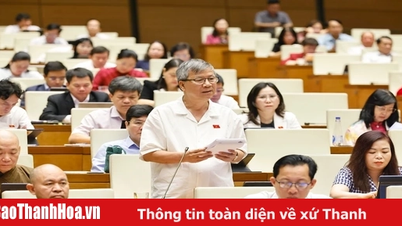 Ngày 17/6, Quốc hội thảo luận về kinh tế-xã hội và ngân sách Nhà nước
