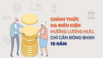 តម្រូវការសិទ្ធិទទួលបានប្រាក់សោធននិវត្តន៍ទាបជាងជាផ្លូវការ តម្រូវឱ្យបង់ថ្លៃធានារ៉ាប់រងសង្គមរយៈពេល 15 ឆ្នាំប៉ុណ្ណោះ។