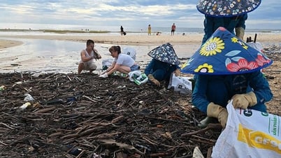 เมืองด่งเฮ้ย: เก็บขยะได้มากกว่า 100 ตันที่ชายหาด Nhat Le และ Bao Ninh