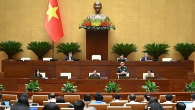 国連平和維持軍におけるベトナムの制度の整備と役割の強化