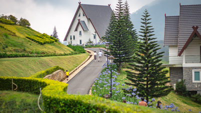 Top most beautiful resorts in Lam Dong 2025