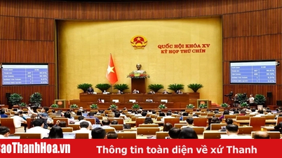 Chính thức thông qua Luật sửa đổi, bổ sung một số điều của Luật Doanh nghiệp