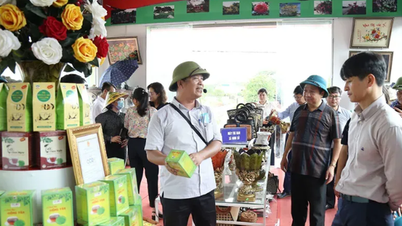 Huyện Thường Tín (TP Hà Nội) đạt chuẩn nông thôn mới nâng cao
