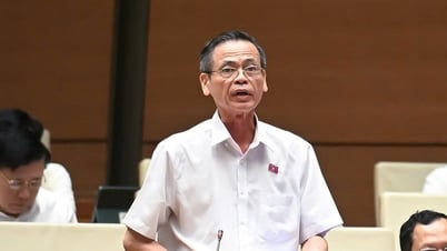 Đại biểu nêu nghịch lý chuyện đi làm thủ tục, phòng này yêu cầu, phòng khác nói 'không có'