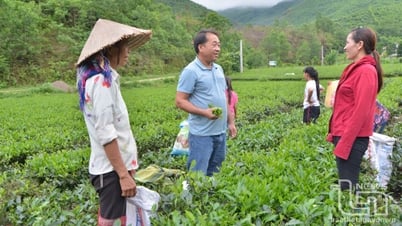 Người 'thuyền trưởng' của bản Mông