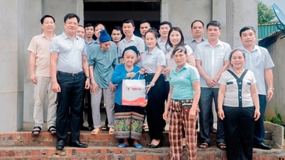 កាសែត Nghe An និងដំណើរនៃការចែករំលែក និងក្តីស្រលាញ់