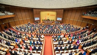 Đại biểu Quốc hội: Bức tranh hàng giả đủ gam màu ghê sợ, người dùng thông thái cũng lạc lối