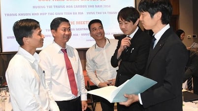 Phát huy các dự án hợp tác quốc tế về bảo vệ môi trường