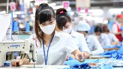 Maintain economic growth momentum