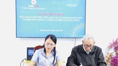 PCダクノンが農村低電圧送電網を受電