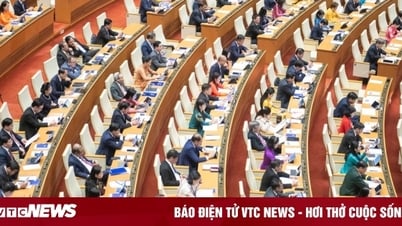 国会議員：遅れたことで罰金を科されるのではなく、申告できるまで事業所世帯が税金を申告できるよう支援する。