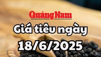 Tin tức, dự báo giá tiêu ngày mai 18/6/2025 mất đỉnh 134.000 VNĐ/kg