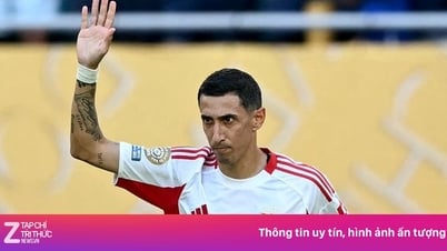 Mưa thẻ đỏ ở FIFA Club World Cup™