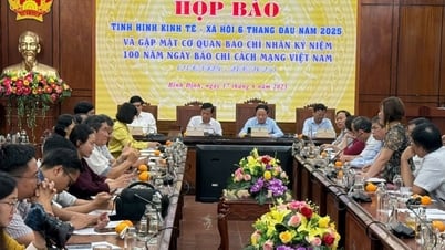 Bình Định thu hút 58 dự án đầu tư với tổng vốn đăng ký hơn 43 nghìn tỷ đồng trong 6 tháng đầu năm 2025