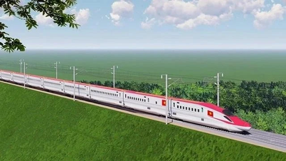 Speed ​​up site clearance to implement North-South high-speed railway project