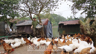 Vận động nông dân xây dựng các mô hình kinh tế tập thể