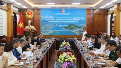 ប្រធានគណៈកម្មាធិការប្រជាជនខេត្ត Pham Anh Tuan បានធ្វើការជាមួយ Palmer Johnson Group និងហិរញ្ញវត្ថុ Suisse Investment Fund