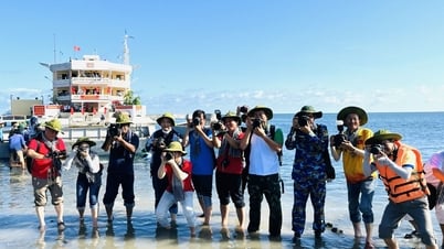 Trường Sa trong tim người làm báo