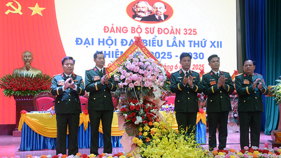 Đảng bộ Sư đoàn 325, Quân đoàn 12 tổ chức Đại hội Đại biểu nhiệm kỳ 2025-2030