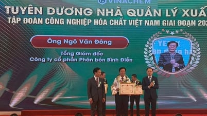 Tổng Giám đốc Bình Điền được vinh danh Nhà lãnh đạo xuất sắc của Tập đoàn Hóa chất Việt Nam giai đoạn 2020-2025
