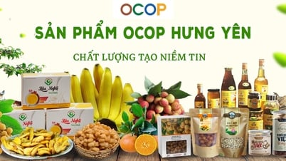 Hưng Yên: 15 sản phẩm của hợp tác xã, tổ hợp tác được công nhận sản phẩm OCOP 4 sao