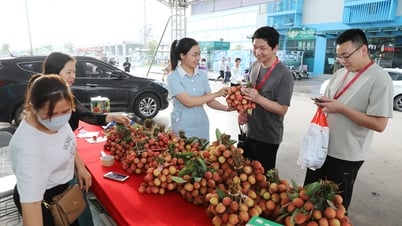 Bắc Giang: Nhiều điểm bán vải thiều phục vụ công nhân tại các khu công nghiệp