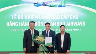 Sếp cũ Bamboo Airways trở lại vị trí Phó tổng giám đốc