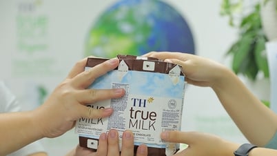Anh hùng Lao động Thái Hương được quốc tế vinh danh nhà...