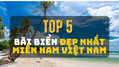 Top 5 bãi biển đẹp nhất miền Nam Việt Nam không nên bỏ lỡ 2025