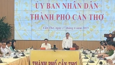 New Can Tho City ready to operate from July 1, 2025
