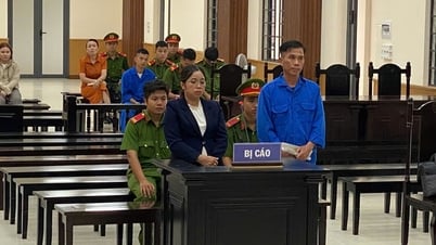 Cùng vào tù vì tham ô