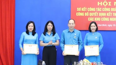 សហជីពនៃសួនឧស្សាហកម្មនៃខេត្តវាយតម្លៃសកម្មភាពក្នុងរយៈពេល 6 ខែដំបូងនៃឆ្នាំ
