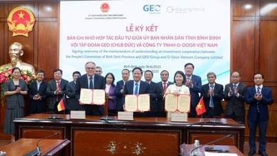 Der Vorsitzende des Volkskomitees der Provinz, Pham Anh Tuan, arbeitete mit der GEO Group (Deutschland) und der O-DOOR Vietnam Company zusammen und unterzeichnete ein Memorandum of Understanding über Investitionskooperationen (MOU).