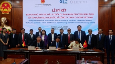Bình Định hợp tác cùng Tập đoàn GEO đào tạo nhân lực ngành năng lượng tái tạo