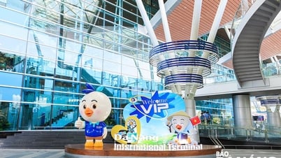 ទីក្រុង Da Nang បង្កើតយុទ្ធនាការផ្សព្វផ្សាយ ដើម្បីស្វាគមន៍សិល្បករកូរ៉េកំពូល