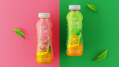 Tập đoàn TH ra mắt Trà Ổi và Trà Tắc tự nhiên TH true TEA mới