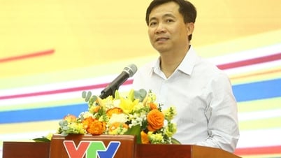 VTV 페롤리 컵 2025 국제 여자 배구 토너먼트