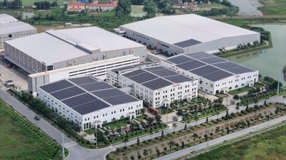 Cập nhật chính sách Đầu tư FDI tại Việt Nam và Giới thiệu các Khu công nghiệp của CNCTech