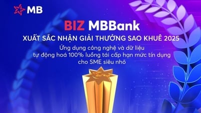 វាយតម្លៃផ្កាយ 5 ផលិតផលកម្ចីគ្មានសុវត្ថិភាពផ្អែកលើទិន្នន័យរបស់ធនាគារ MB Bank ឈ្នះធំនៅសៅឃឺ 2025