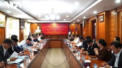 Die vietnamesische und laotische Presse koordiniert effektiv Propaganda und ausländische Informationen