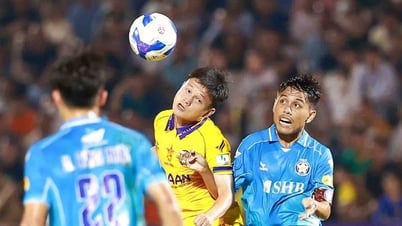 V-League Final Round Schedule: Da Nang is still alive, Binh Dinh team 'lives and dies' due to... fate